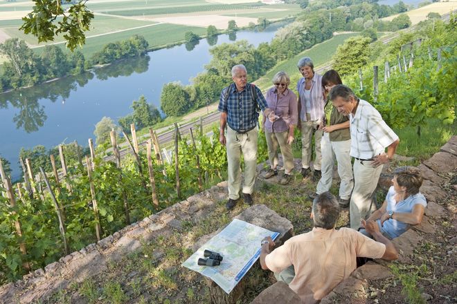 Der Main und der Wein prägen die Landschaft rund um Karlstadt.