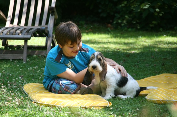 Gerade wenn Kinder intensiv mit dem Tier in Berührung kommen, ziehen viele Hundebesitzer natürlichen Zeckenschutz der chemischen Keule vor.