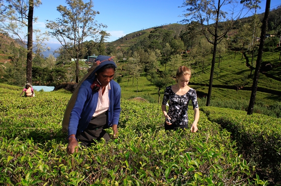 Der Besuch einer Teeplantage gehört bei einer Familienreise durch Sri Lanka zum spannenden Programm.