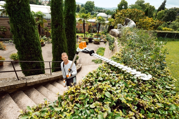 Ein Rückschnitt der Hecke im zeitigen Frühjahr ist wichtig, damit der natürliche Sichtschutz wieder frisch austreiben kann.