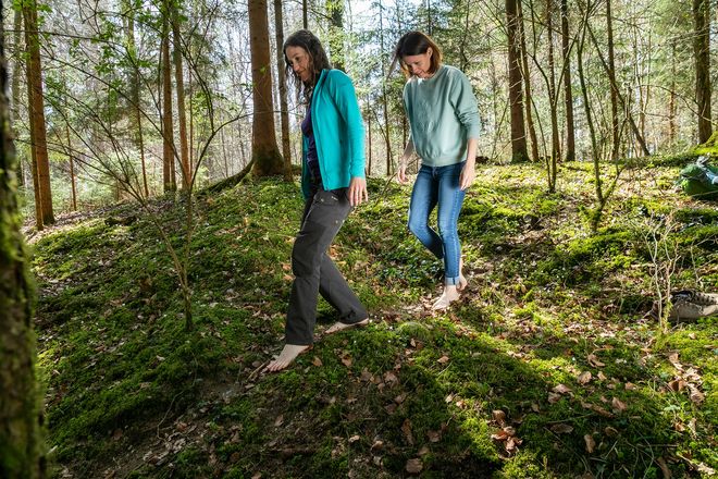 Naturcoach Sabine Glatz zeigt, wie frau in der heilsamen Atmosphäre des Waldes ihre eigene Mitte finden kann.