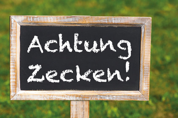 Besonders in Süddeutschland gibt es FSME-Risikogebiete.