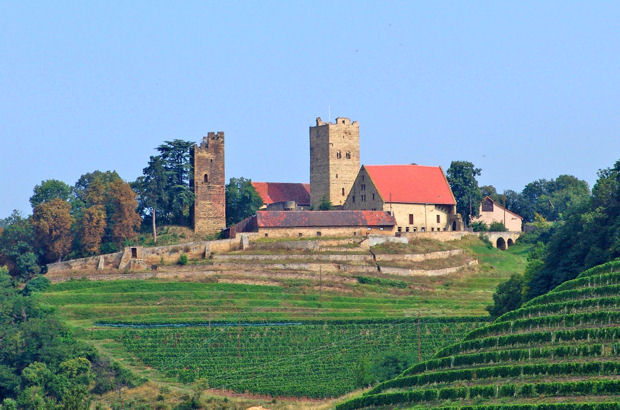 Burgen wie Burg Löwenstein oder hier Burg Neipperg am Heuchelberg liegen entlang der Wanderwege.