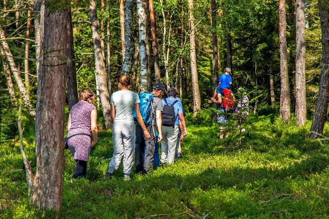 Die Moorwanderung führt durch die skandinavisch anmutende Landschaft des Schönramer Filzes.