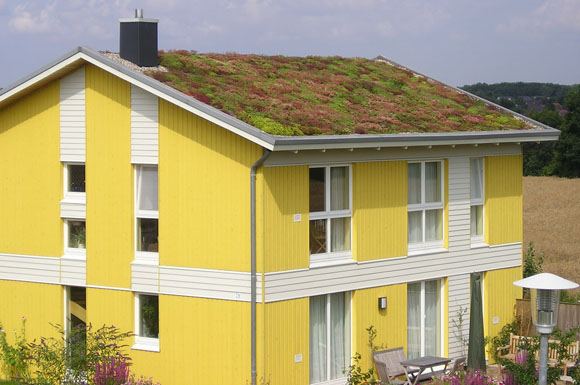 In vielen Städten werden Hausbesitzern mit Gründach bis zu 50 Prozent der Niederschlagswassergebühr erlassen.