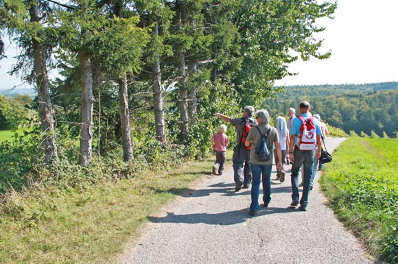 Unterwegs können die Wanderer schöne Weitblicke zum Schwarzwald und Odenwald genießen.