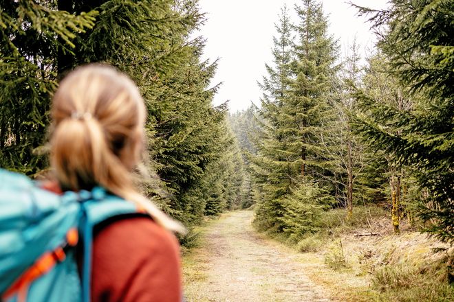 Perfekt f&uuml;r eine Pause zwischendurch: Auf dem Kammweg im Erzgebirge und Vogtland kann man Natur pur genie&szlig;en.