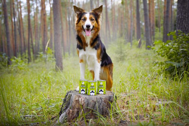 Ein 15 Kilogramm schwerer Hund stößt im Laufe von durchschnittlich 13 Lebensjahren etwa 8,2 Tonnen CO2 aus.