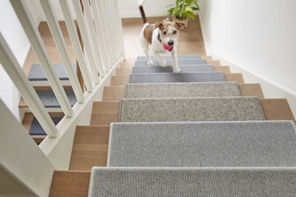Wenn der Hund zu Hause Treppen laufen muss, erleichtern ihm Stufenmatten den Aufstieg. Sie machen die Stufen weniger rutschig.