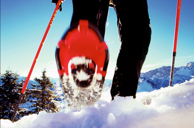 Wer in der Naturparkregion Reutte seinen Winterurlaub verbringt, sucht nicht Skitrubel und Massentourismus, sondern intensive Naturerlebnisse, bei denen man den Alltag vergessen kann.