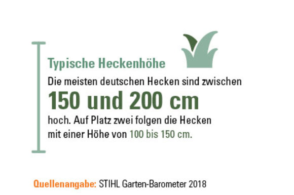 Die Durchschnittshecke in deutschen Gärten ist anderthalb bis zwei Meter hoch.