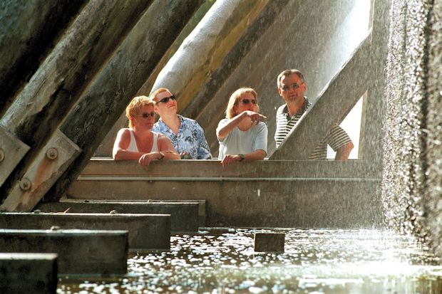 Im Bad Rothenfelder Gradierwerk wird das Solewasser aus der Heilquelle in die Atemluft gebracht.