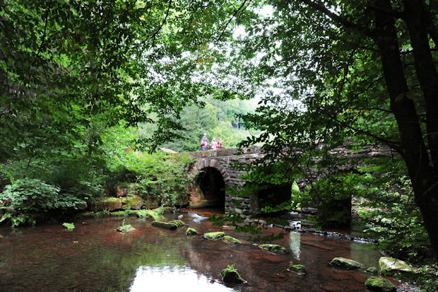 Der Neckarsteig führt in neun Etappen vor allem durch den Naturpark Neckartal-Odenwald von Heidelberg nach Bad Wimpfen.