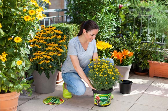 Pflanzen auf die einfache und zeitsparende Art pflanzen: Der Pflanztopf ist bereits mit der passenden Menge an Qualitäts-Blumenerde gefüllt.