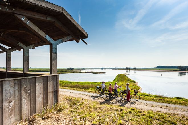 An der Elbe reicht der Blick bis zum Horizont und vom Deich lassen sich seltene Vögel beobachten.