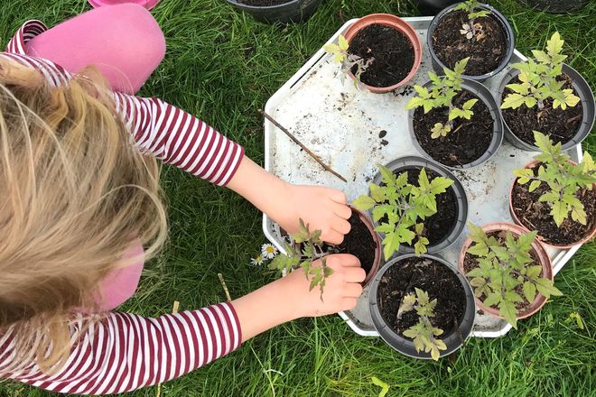 Durch das Gärtnern kann Kindern spielerisch das Wachstum und die Pflege von Pflanzen sowie die Ernte nähergebracht werden.