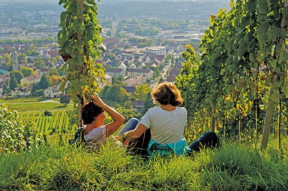 Kleine Wanderpause im Rebenmeer mit Blick auf Heilbronn.
