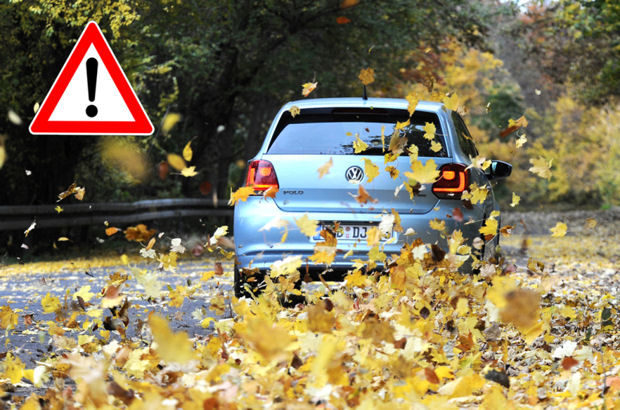 Feuchtes Laub auf der Straße kann genauso gefährlich wie blankes Glatteis sein.