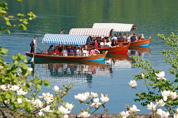 Sanft-mobil auf dem Wasser unterwegs: Im slowenischen Bled kann man sich mit traditionellen Pletna-Booten auf die Insel im See fahren lassen.