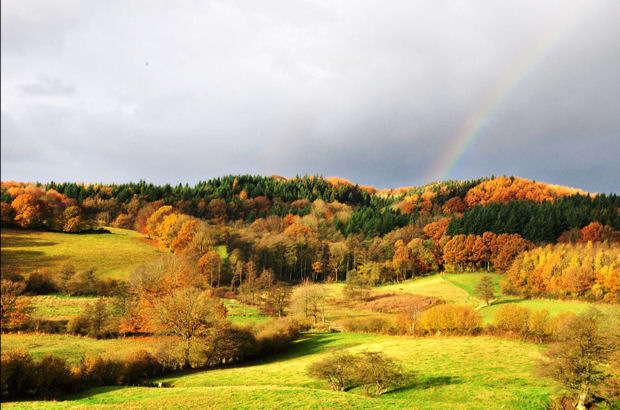 Die sanft geschwungene Hügellandschaft des Naturparks Hüttener Berge mit seinen vielen Wäldern, Mooren, Seen und Wiesen ist ein beliebtes Ziel für Wanderungen.