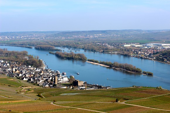 Blick vom Niederwalddenkmal auf den Rhein.