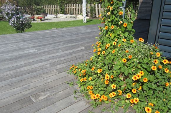 Bei der Farbgebung der neuen Terrassendielen hat der Hausherr die Wahl zwischen dem natürlichen Vergrauen oder einer Behandlung mit farbpigmentiertem Öl.
