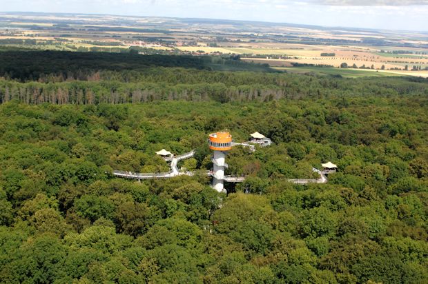 Auf dem Baumkronenpfad unweit vom Nationalparkzentrum kann man den Wald von oben erforschen.