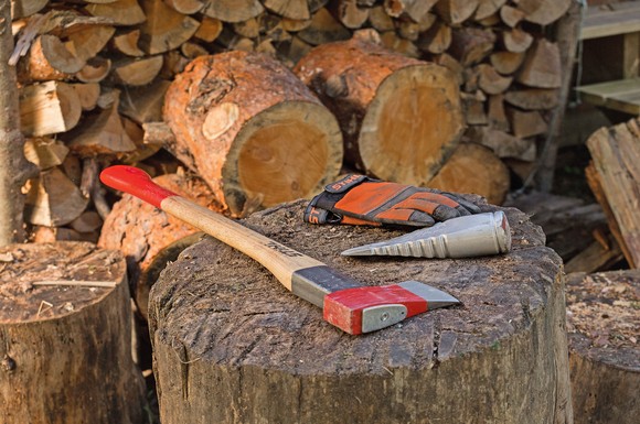 Holz selbst schlagen liegt im Trend. Viele Revierförstereien bieten dazu sogenannte Flächenlose an. Rechtzeitiges Reservieren ist empfehlenswert.
