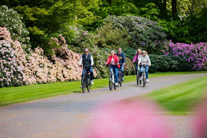 Ungest&ouml;rt Radeln durch ein farbenfrohes Bl&uuml;tenmeer: So farbenpr&auml;chtig pr&auml;sentieren sich die Alleen im Ammerland zur Rhododendronbl&uuml;te im Fr&uuml;hjahr.
