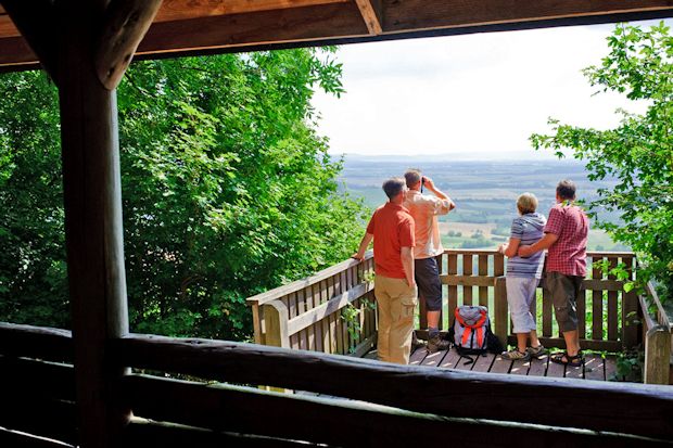 In Schweinfurt treffen das fränkische Weinland, der Steigerwald und die Haßberge aufeinander.