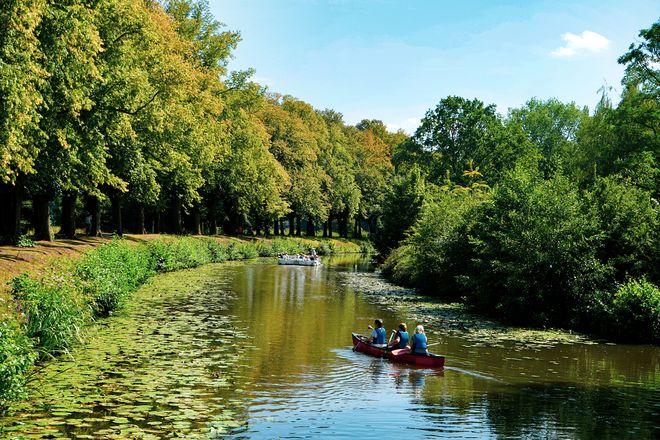 Auf der Vechte können sich Kanuten fast wie im Urwald fühlen.