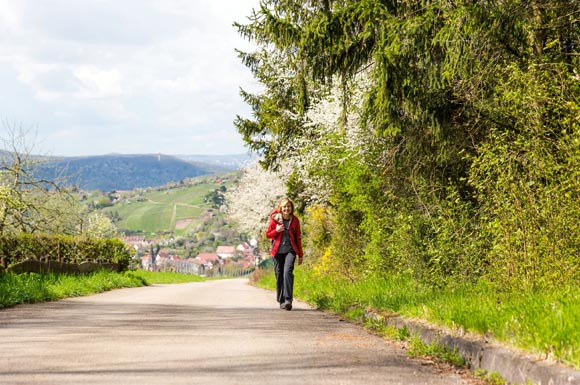 Zecken werden bei der Bewegung in der freien Natur abgestreift und suchen sich dann ihren Weg zu einer geeigneten Einstichstelle. Um den Stich oder eine Infektion mit FSME beim Stechen zu vermeiden, sollten Wanderer wissen, wie sie Zecken entfernen können.