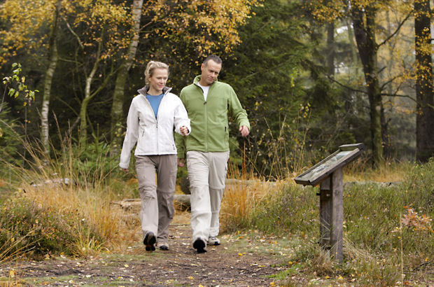 Zu jeder Jahreszeit macht Wandern Spaß. Bei vielen Hundert Kilometern an Wanderwegen, die durch den Teutoburger Wald führen, ist dabei für Abwechslung gesorgt.
