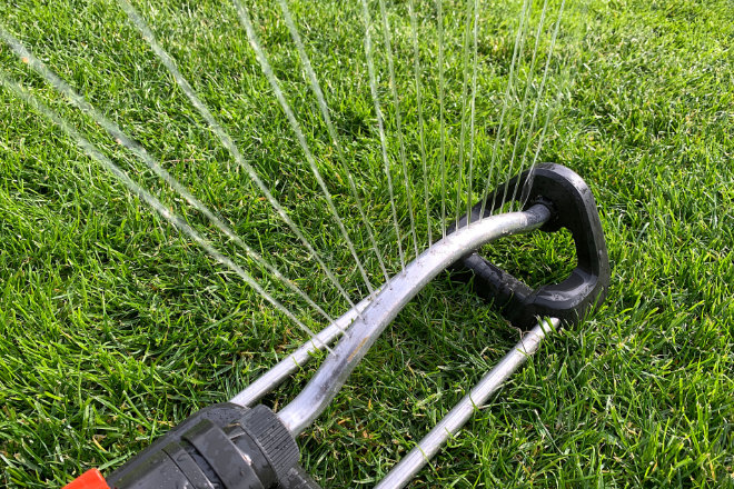 Leitungswasser ist kostbar, man sollte es trinken statt auf den Rasen zu gießen. Ein Wassersprenger verteilt rund 800 Liter Wasser in einer Stunde - und damit mehr als das Sechsfache des durchschnittlichen täglichen Pro-Kopf-Verbrauchs eines Menschen.