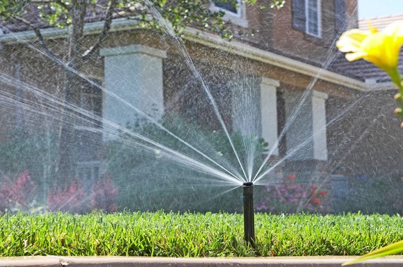 Wasser marsch: Automatische Bewässerungssysteme pflegen das Grün im Garten und lassen sich bequem per Smartphone-App bedienen.