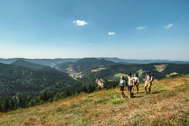 Auf eigene Faust die Landschaft entdecken: Ein umfangreiches Netz aus Premiumwegen, Themenpfaden und Rundtouren unterschiedlicher Schwierigkeitsgrade durchzieht die Nationalparkregion Schwarzwald.
