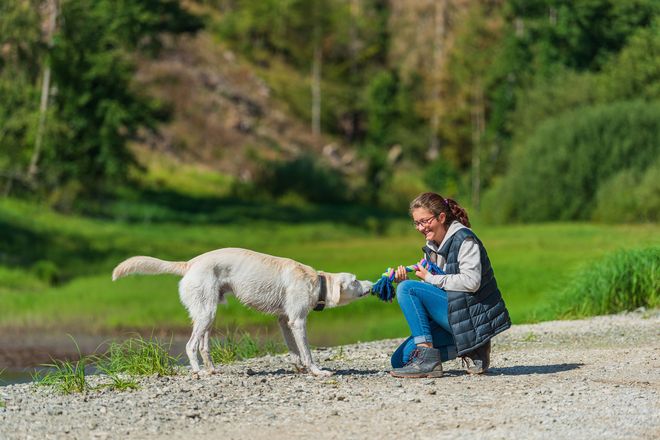 Auf stillen Waldwegen sind die Vier- und Zweibeiner ganz für sich.