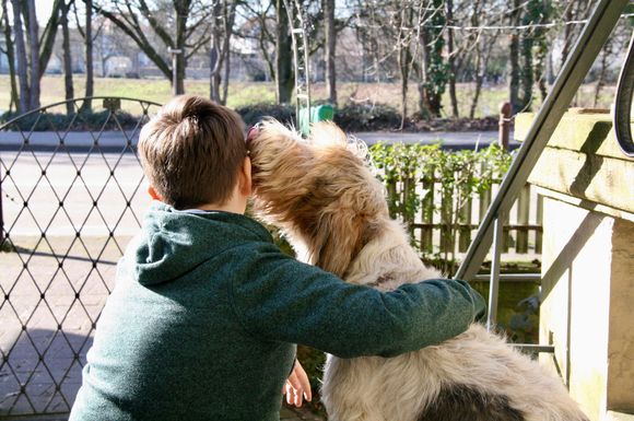 Natürlicher Zeckenschutz ist für Hunde und ihre Besitzer unverzichtbar.