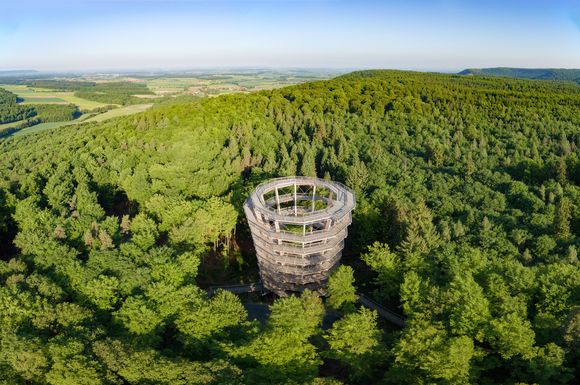 Herzstück des Baumwipfelpfades ist der 42 Meter hohe Aussichtsturm.