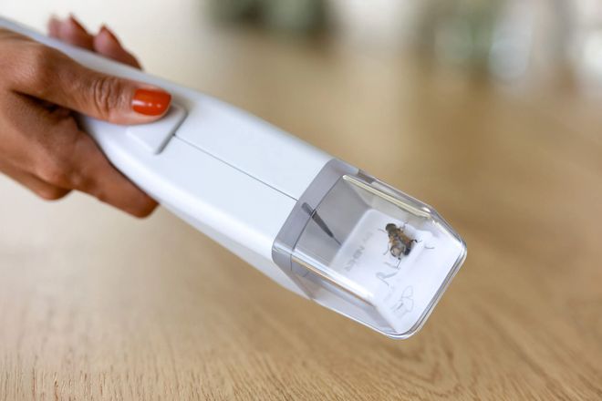Mit sicherem Abstand nimmt der Insektenf&auml;nger die ungebetenen G&auml;ste auf, um sie anschlie&szlig;end nach drau&szlig;en zu bef&ouml;rdern.